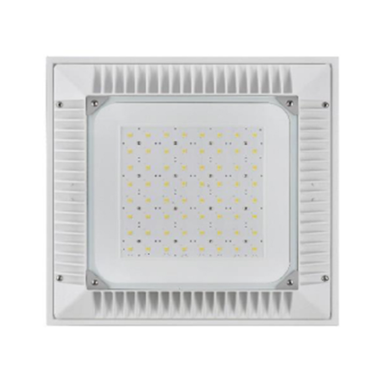 Outdoor LED Canopy high/low bay light